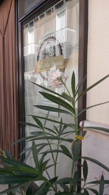 سان سيفيرو B&B Stelle Della Daunia المظهر الخارجي الصورة